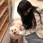 怪物趴踢手游下载